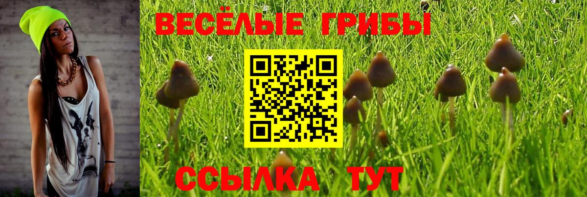Алексеевка  Галлюциногенные грибы GOLDEN TEACHER  Вход с VPN  Псилоцибиновые грибы прущие грибы 