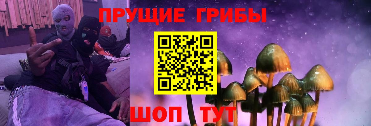 Галлюциногенные грибы ЛСД Алексеевка